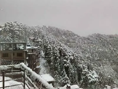 Uphill Courtyard Family Suites For 1 6 People On Hill Top Shimla Bed & Breakfast
