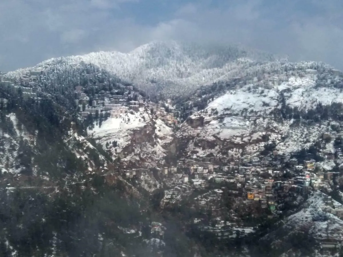 Uphill Courtyard Family Suites For 1 6 People On Hill Top Shimla 0*,  India
